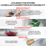 Power Infusing Serum