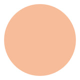 Shiseido UV Protective Compact Foundation