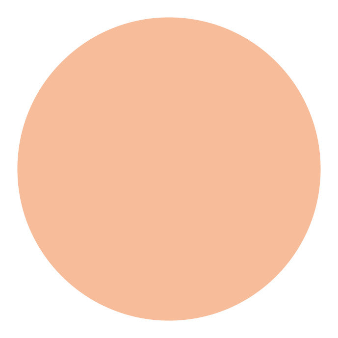 Shiseido UV Protective Compact Foundation