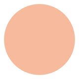 Shiseido UV Protective Compact Foundation