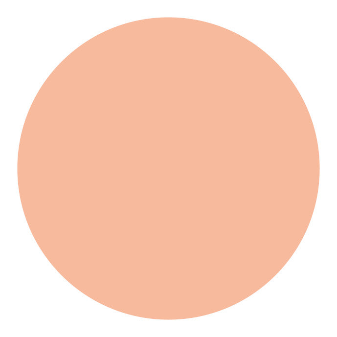 Shiseido UV Protective Compact Foundation