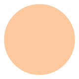 Shiseido UV Protective Compact Foundation