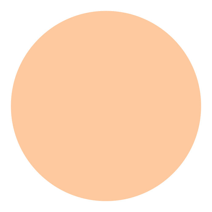 Shiseido UV Protective Compact Foundation