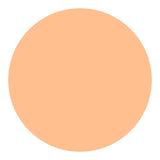 Shiseido UV Protective Compact Foundation