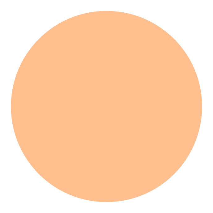 Shiseido UV Protective Compact Foundation