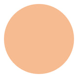 Shiseido UV Protective Compact Foundation