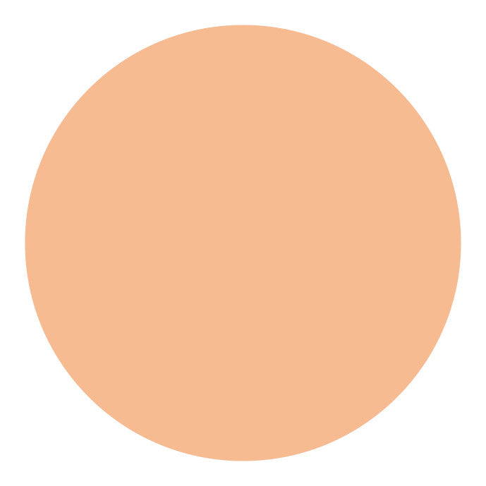 Shiseido UV Protective Compact Foundation