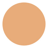 Shiseido UV Protective Compact Foundation