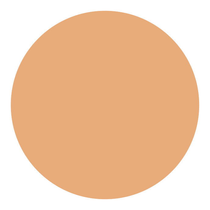 Shiseido UV Protective Compact Foundation